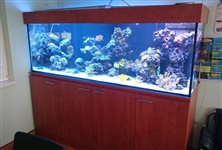 Morské akvárium 900L,č.2, rozmery 215x60x70cm